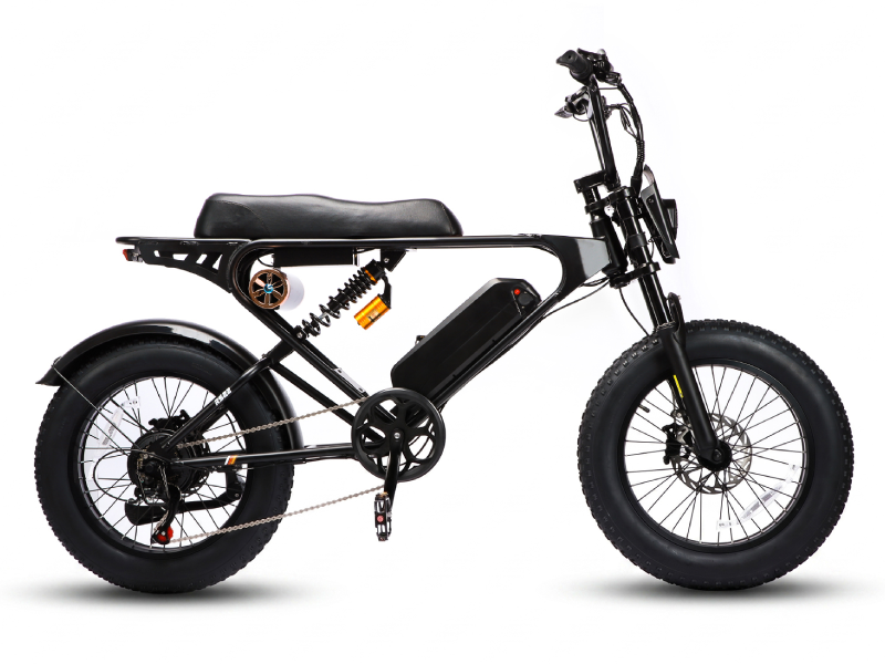 Weekandigo SR22 Vintage Fat Tire Electric Bike