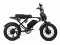 Weekandigo SR22 MAX Dual 750W All Terrain Fat Tire Electric Bike