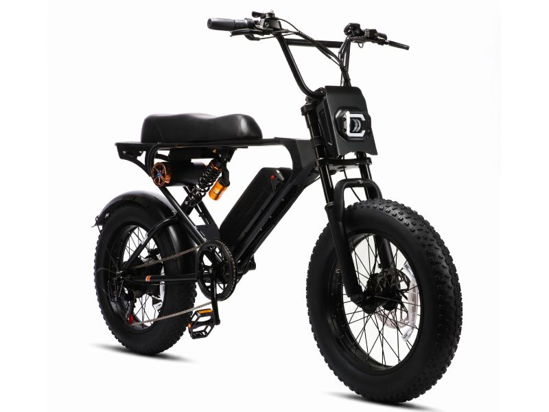 Weekandigo SR22 Vintage Fat Tire Electric Bike