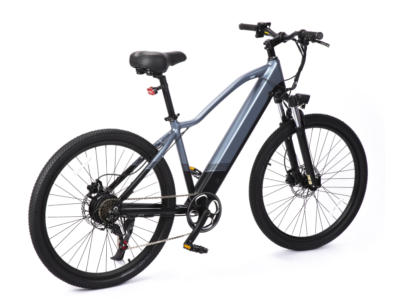 Weekandigo SU42 Pro Adult E-Bike with Cruise Control & Disc Brake