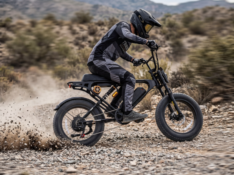 Weekandigo SR22 Vintage Fat Tire Electric Bike