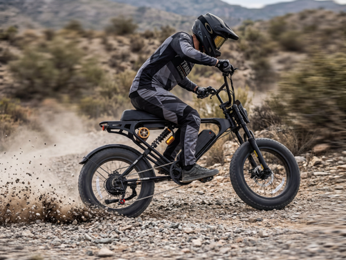Weekandigo SR22 Vintage Fat Tire Electric Bike