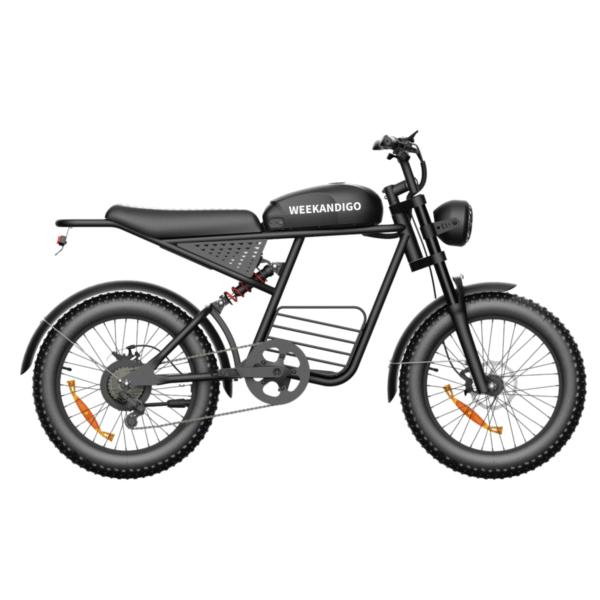 FL20-R Off-Road Electric Dirt Bike, Adult All-Terrain Ebike with Fat Tire & Full Suspension