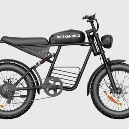 FL20-R Off-Road Electric Dirt Bike, Adult All-Terrain Ebike with Fat Tire & Full Suspension