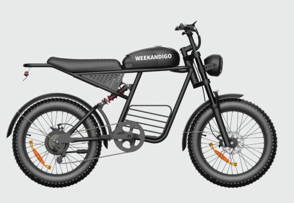 FL20-R Off-Road Electric Dirt Bike, Adult All-Terrain Ebike with Fat Tire & Full Suspension