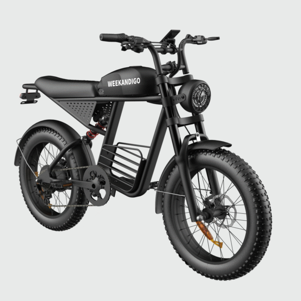 FL20-R Off-Road Electric Dirt Bike, Adult All-Terrain Ebike with Fat Tire & Full Suspension