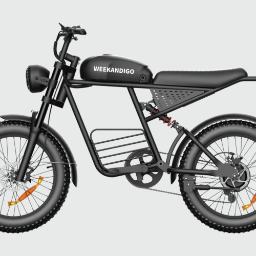 FL20-R Off-Road Electric Dirt Bike, Adult All-Terrain Ebike with Fat Tire & Full Suspension