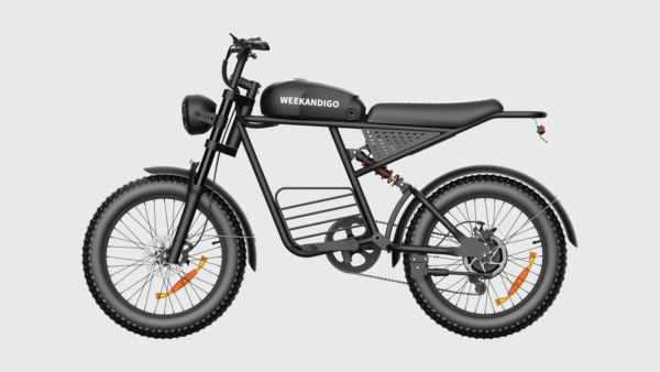 FL20-R Off-Road Electric Dirt Bike, Adult All-Terrain Ebike with Fat Tire & Full Suspension