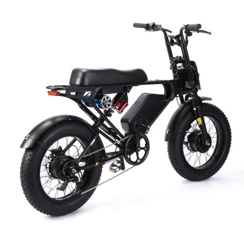 Weekandigo SR22 MAX Dual Motor All-Terrain Fat Tire E-Bike