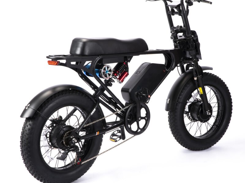 Weekandigo SR22 MAX Dual Motor All-Terrain Fat Tire E-Bike