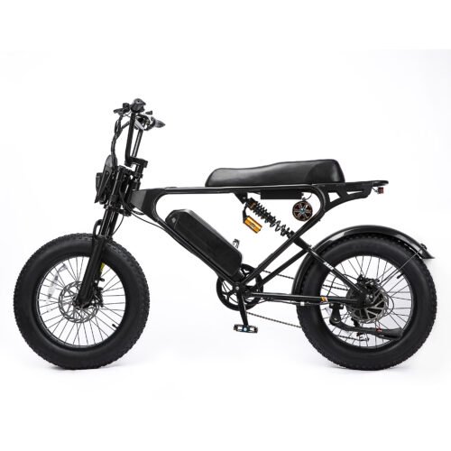 Weekandigo SR22 Adult High Power All-Terrain E-Bike