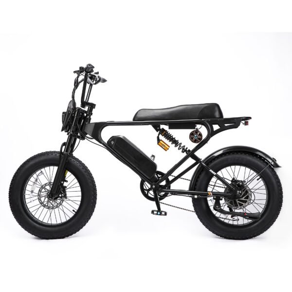 Weekandigo SR22 Adult High Power All-Terrain E-Bike