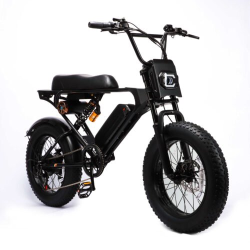 Weekandigo SR22 Adult High Power All-Terrain E-Bike