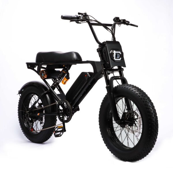 Weekandigo SR22 Adult High Power All-Terrain E-Bike