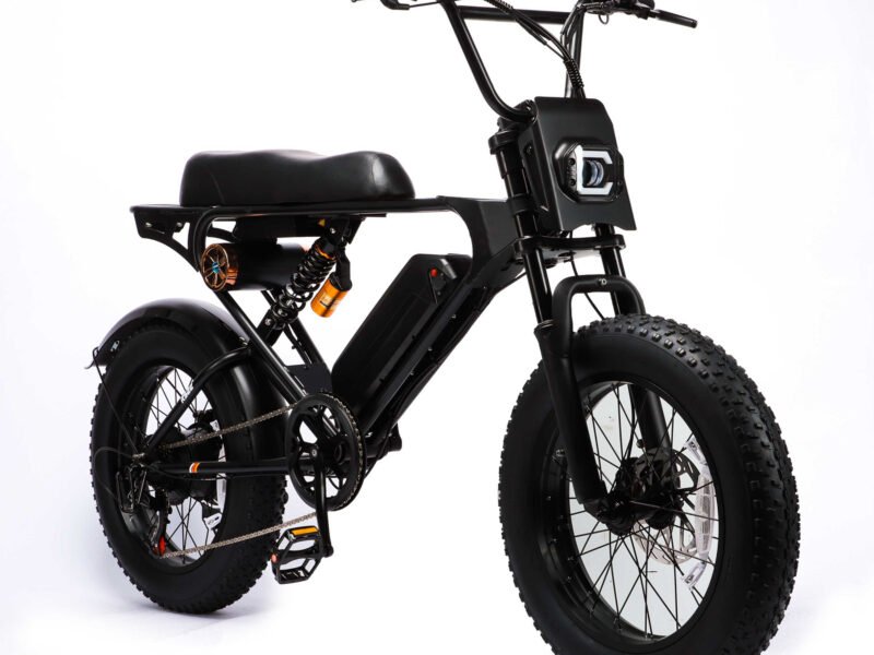 Weekandigo SR22 Adult High Power All-Terrain E-Bike