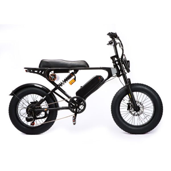 Weekandigo SR22 Adult High Power All-Terrain E-Bike
