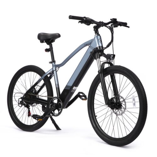 Weekandigo E-Bike SU42 Pro 5-Speed Assist Removable Battery