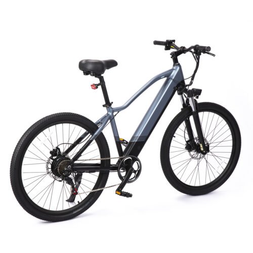 Weekandigo E-Bike SU42 Pro 5-Speed Assist Removable Battery